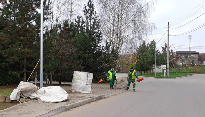 Nukritusių lapų išvežimas