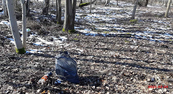 Plogging’as (šiukšlių medžioklė sportuojant)