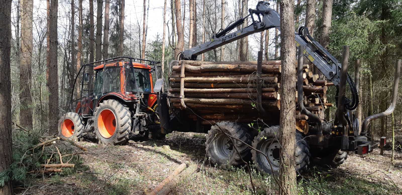 Miškotvarka Noragiškių gatvės gale