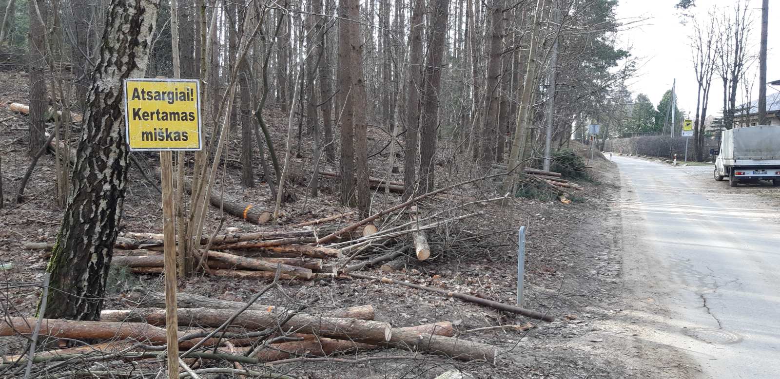 Miškas Noragiškių gatvės gale