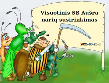 Visuotinis susirinkimas